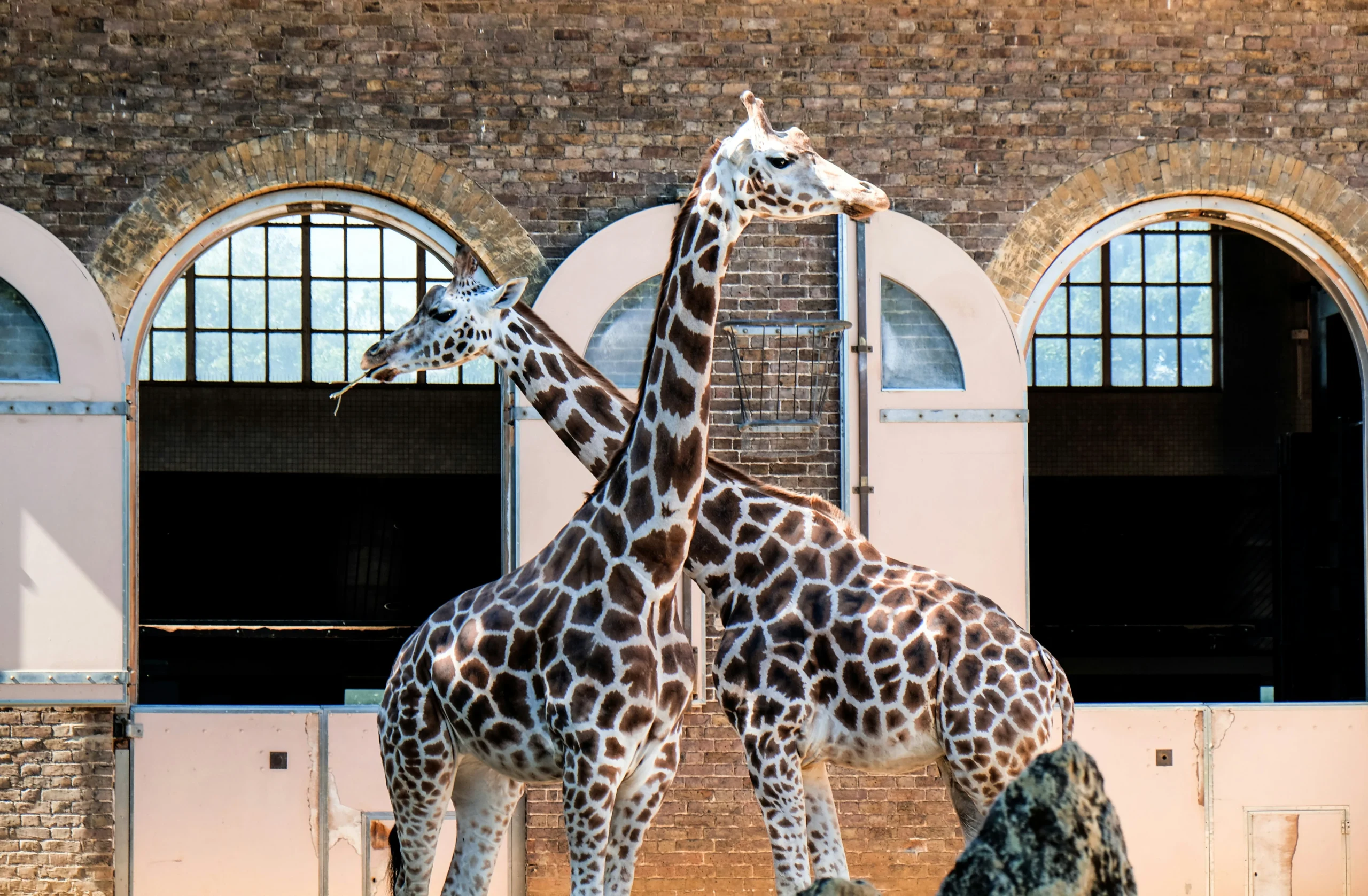 best-attractions-in-london